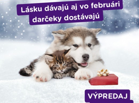 Lásku dávajú a vo februári lásku dostávajú